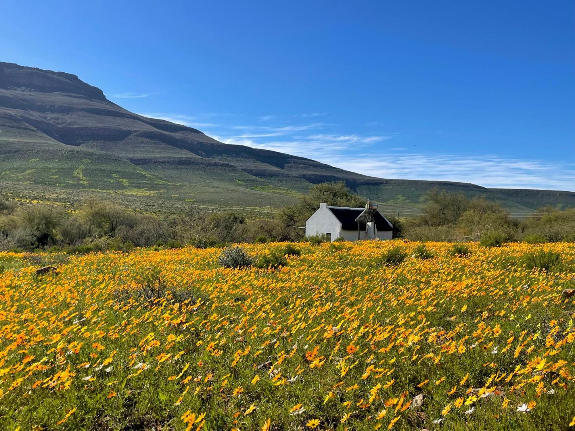 Enjo Nature Farm Clanwilliam Exterior photo