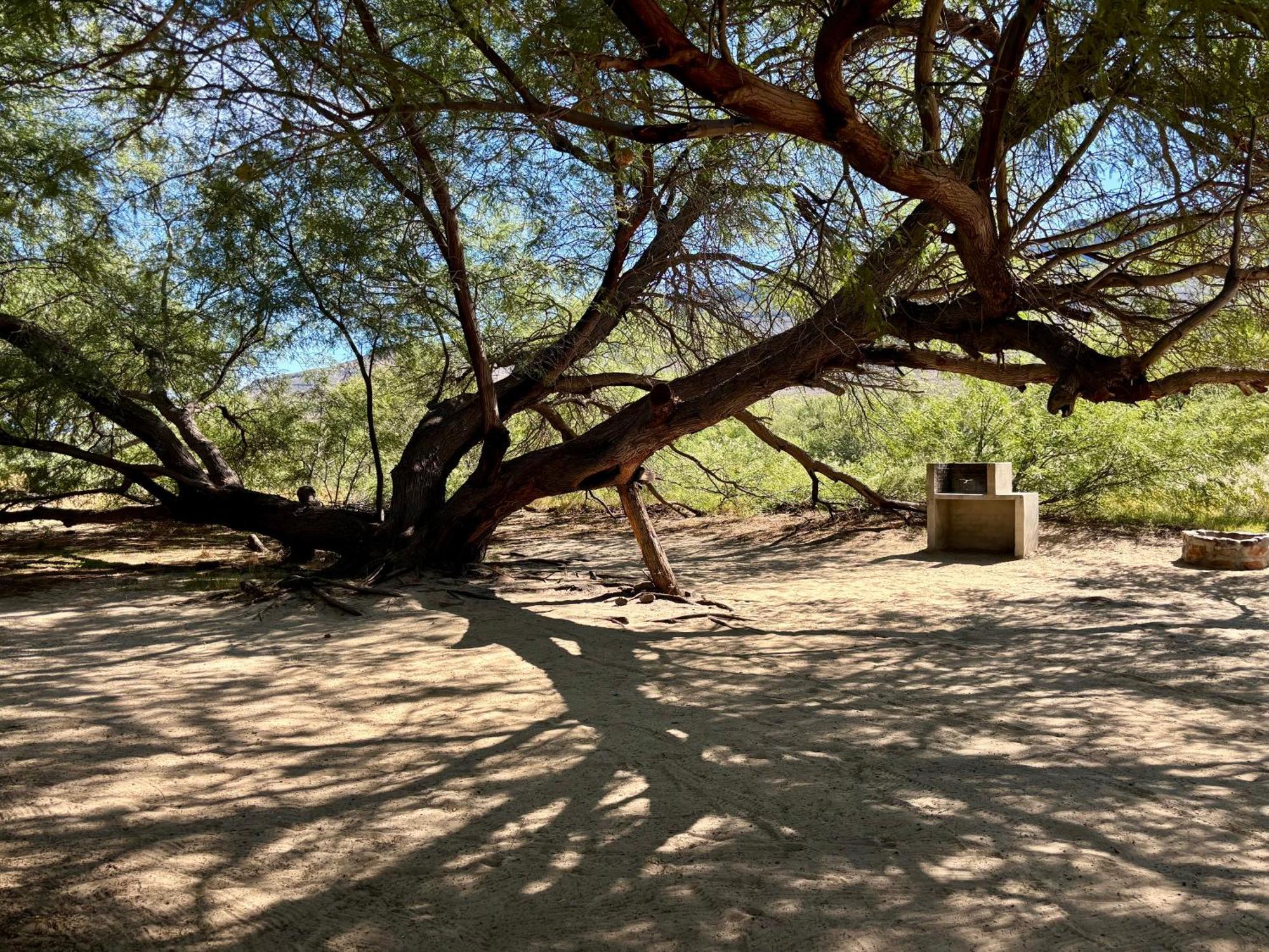 Enjo Nature Farm Clanwilliam Exterior photo